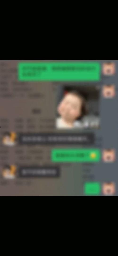 国产老虎沙雕视频,萌态可掬，笑料百出