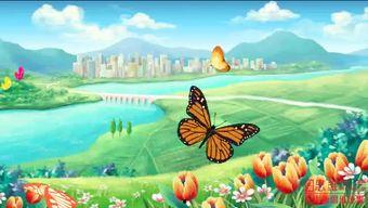 国产花鸟视频动画,国产花鸟动画中的自然之美