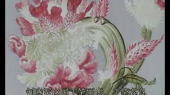 国产花鸟视频动画,国产花鸟动画中的自然之美