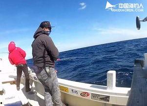 国产海钓杆测评视频大全,全方位解析与推荐