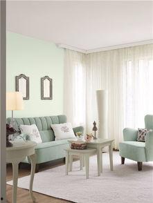 国产墙漆测评视频播放,揭秘热门品牌性能对比