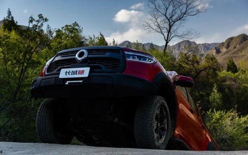 国产车能玩越野嘛视频