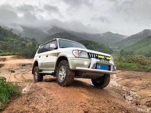 国产车能玩越野嘛视频