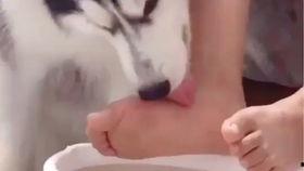 国产舔脚视频播放,揭秘背后现象与争议