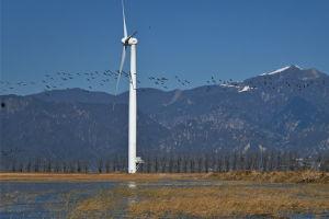 国产线路一视频区,探寻独特风情,领略民族魅力 第2张 国产线路一视频区,探寻独特风情,领略民族魅力 第2张