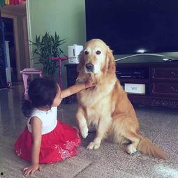 人狗国产小视频在线观看,温馨瞬间在线共享