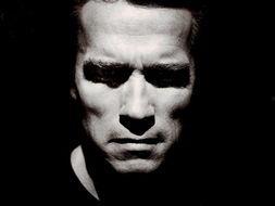 国产大鲶鱼视频在线播放,探寻水下奇观，感受自然魅力  第1张